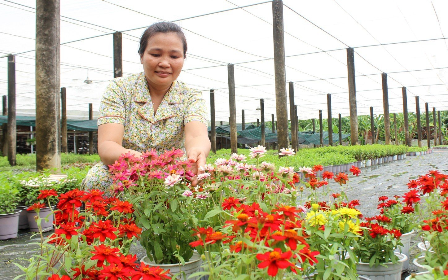 Mỗi năm diện tích đất nông nghiệp của TP.HCM giảm 1.000 ha - Ảnh 1.