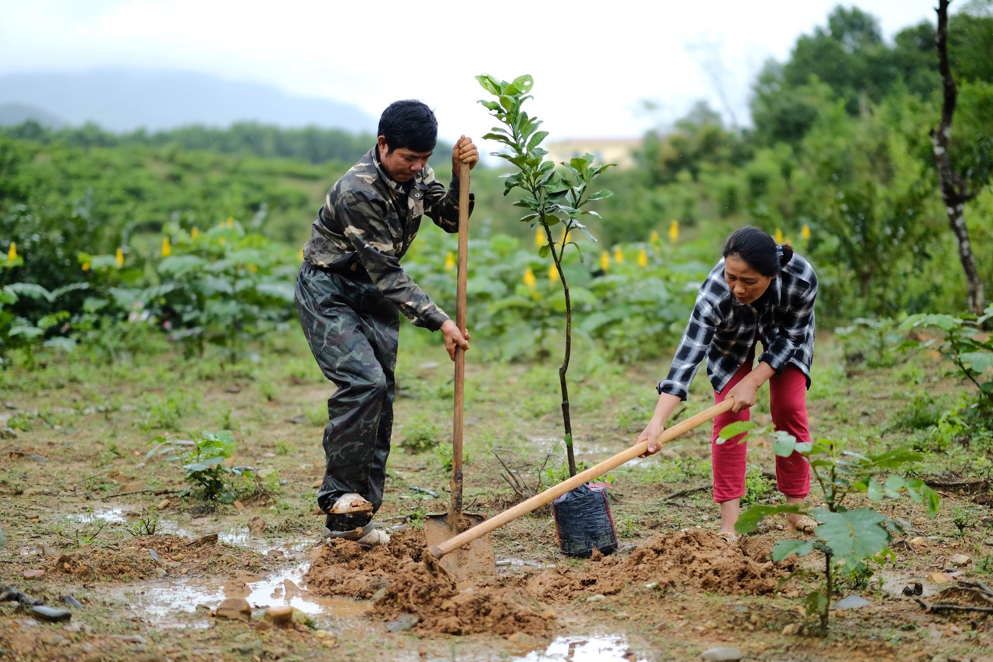 Đoàn Thanh niên Agribank khu vực Tây Nam Bộ trao &quot;sinh kế&quot; cho bà con nhân dân tại trên địa bàn tỉnh Quảng Nam - Ảnh 5.
