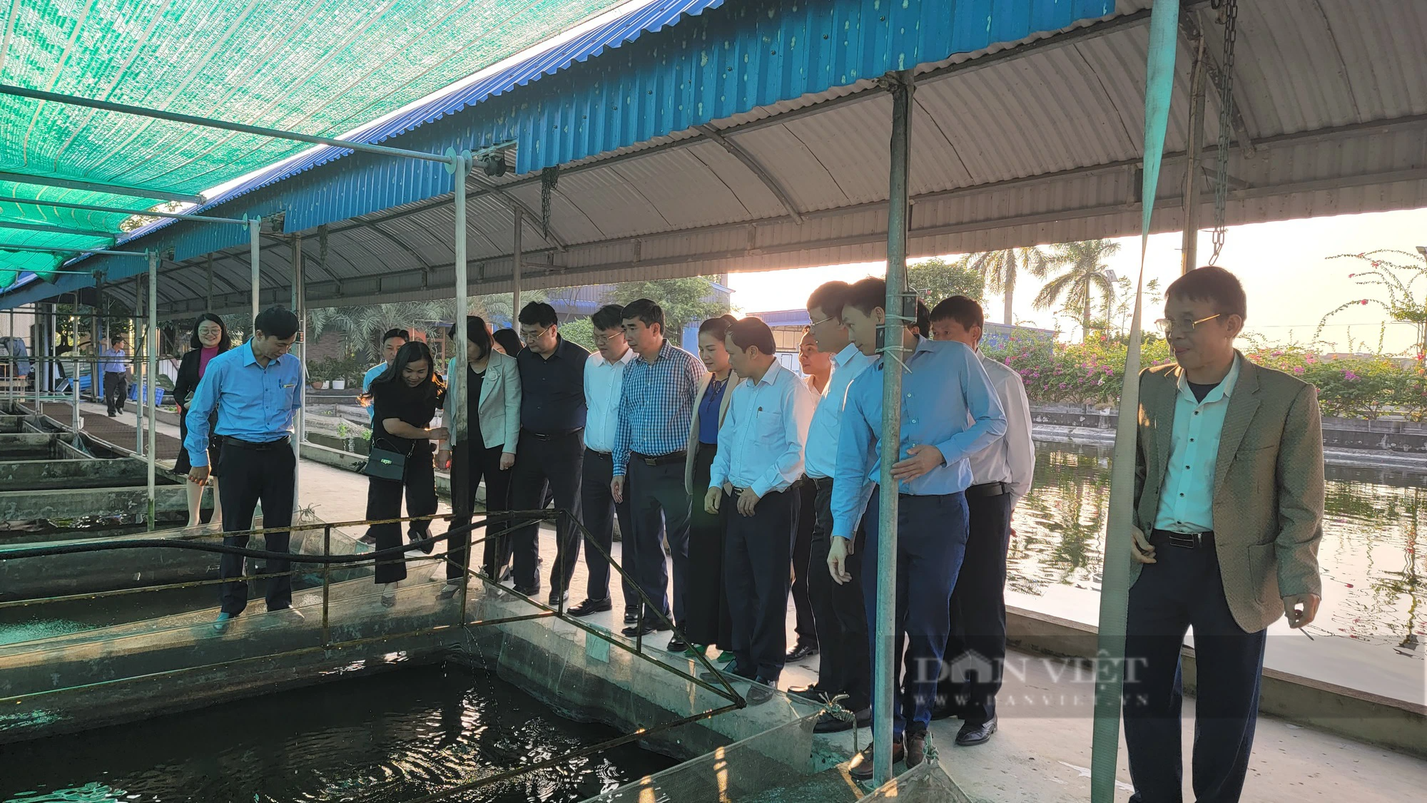 Chủ tịch Hội Nông dân tỉnh Hải Dương &quot;ngỡ ngàng&quot; trước quy mô sản xuất, giá trị kinh tế đem lại của hội viên - Ảnh 8.