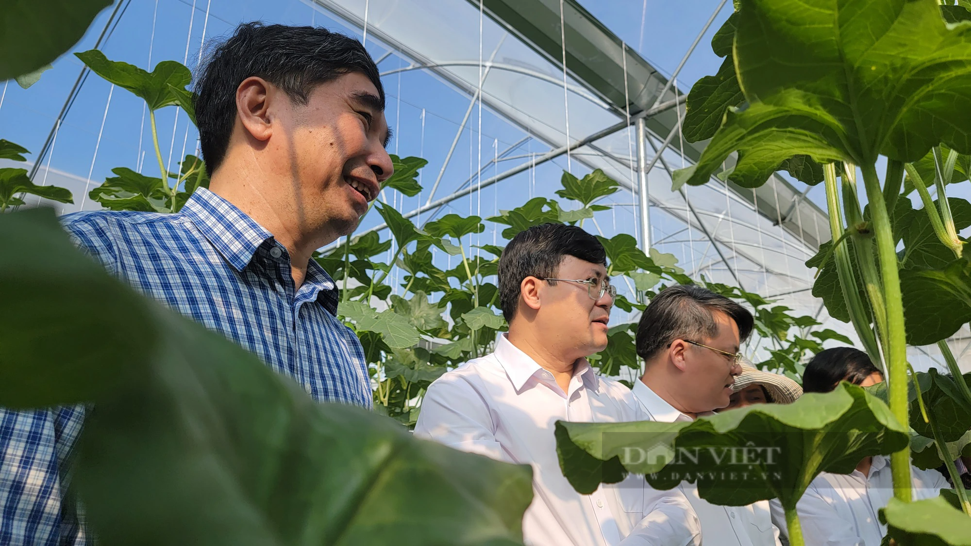 Chủ tịch Hội Nông dân tỉnh Hải Dương &quot;ngỡ ngàng&quot; trước quy mô sản xuất, giá trị kinh tế đem lại của hội viên - Ảnh 3.