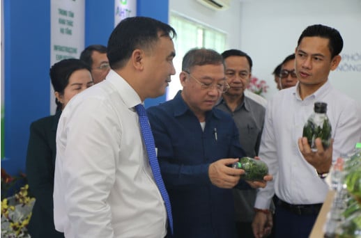 TP.HCM sẽ nâng cấp, mở rộng từ 2 - 3 Khu Nông nghiệp công nghệ cao - Ảnh 1.