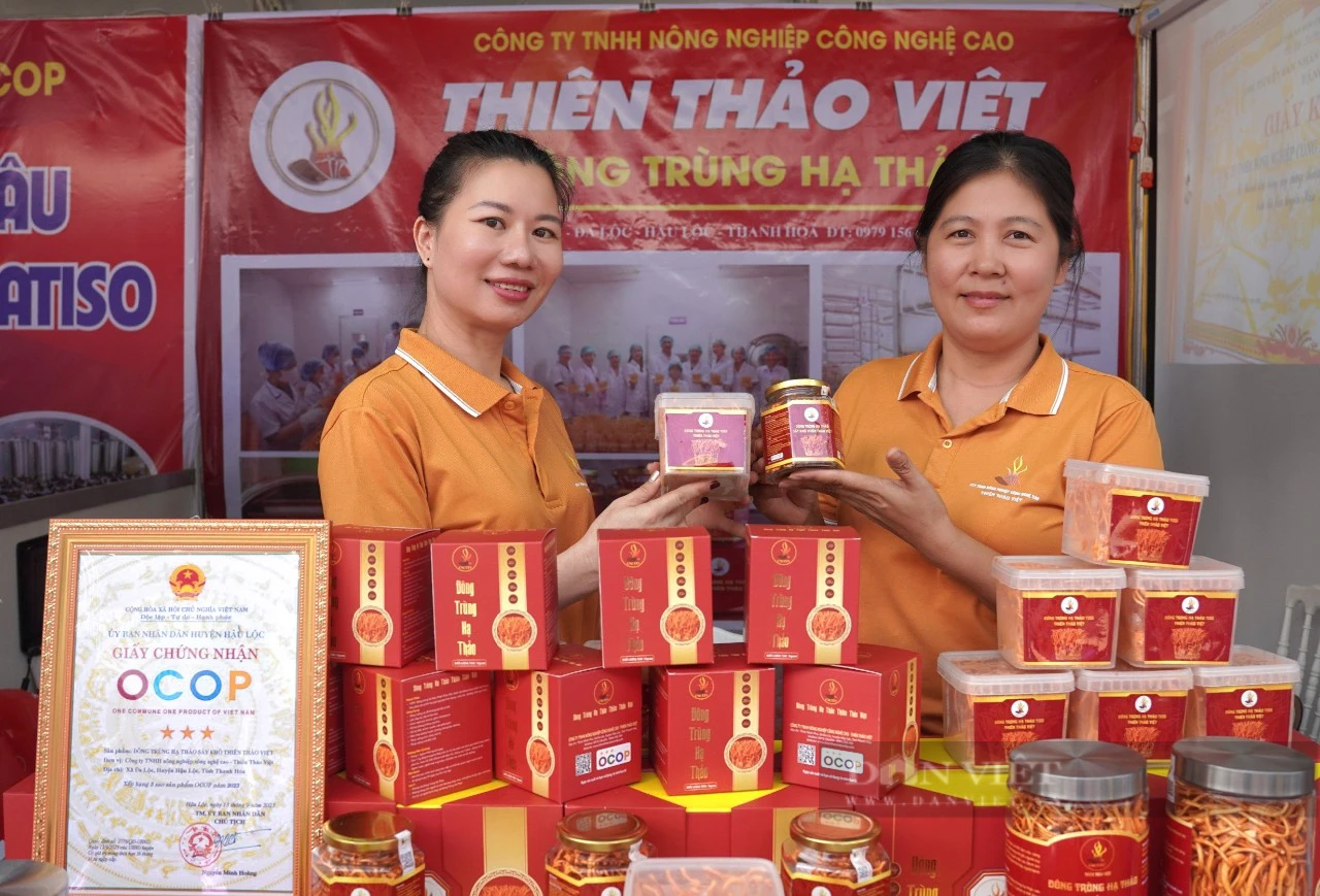 Nuôi cấy thành công đông trùng hạ thảo, 8X Thanh Hóa có doanh thu 10 tỷ đồng/năm - Ảnh 1.