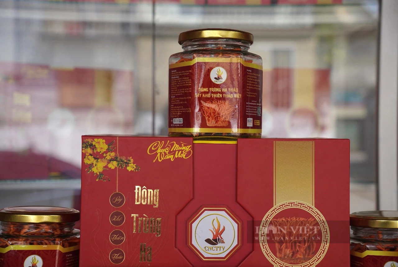 Nuôi cấy thành công đông trùng hạ thảo, 8X Thanh Hóa có doanh thu 10 tỷ đồng/năm - Ảnh 8.