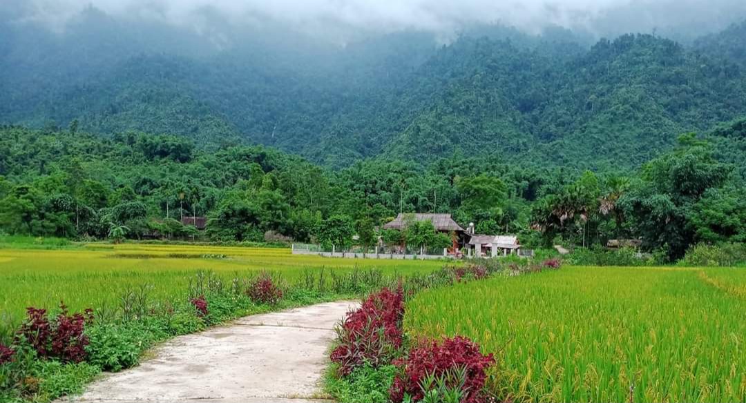 Huyện Văn Chấn (Yên Bái) phát huy mọi nguồn lực trong xây dựng nông thôn mới  - Ảnh 2.