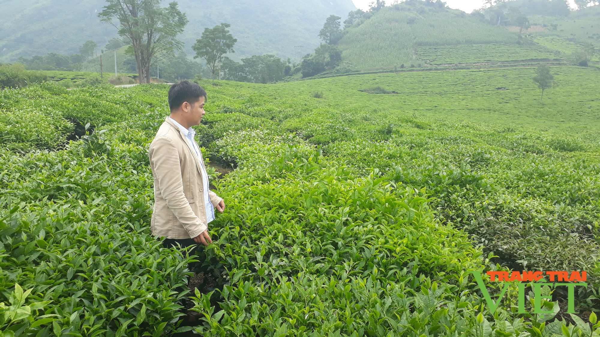 Tam Đường phát huy vai trò chủ thể của nông dân trong xây dựng nông thôn mới - Ảnh 1.