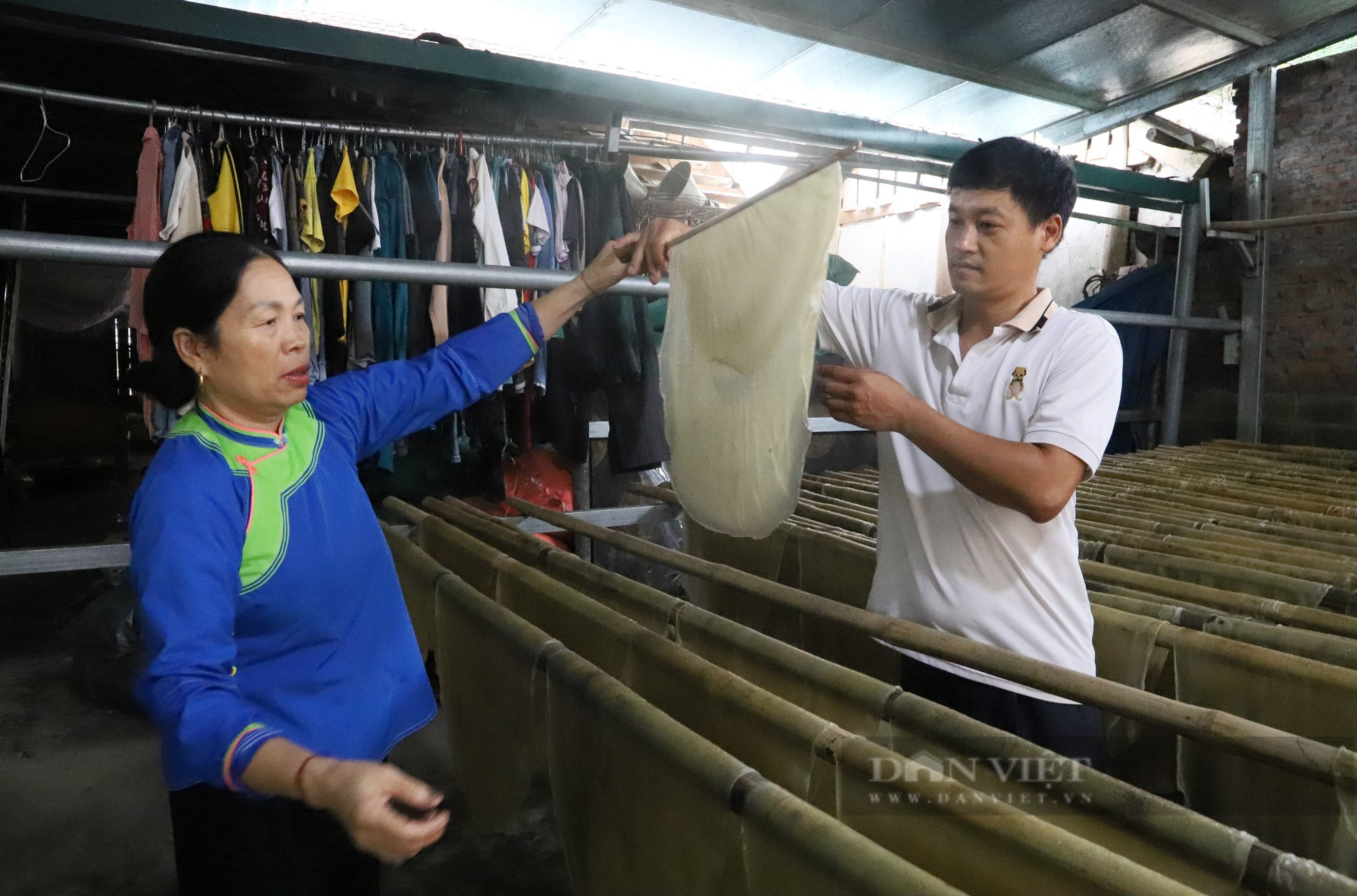Một anh nông dân Lào Cai giàu lên từ nghề làm miến dong truyền thống - Ảnh 1.