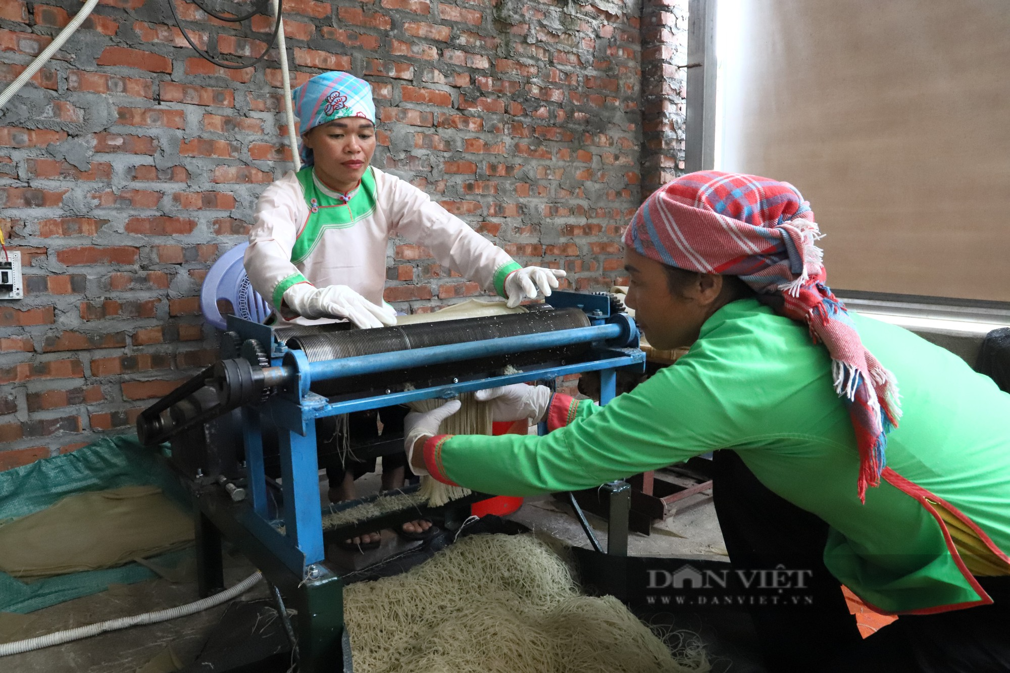 Một anh nông dân Lào Cai giàu lên từ nghề làm miến dong truyền thống - Ảnh 5.