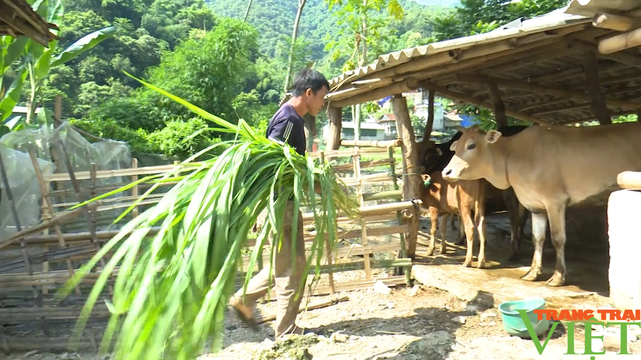 Câu chuyện giảm nghèo ở vùng cao Bắc Yên - Ảnh 3. Câu chuyện giảm nghèo ở vùng cao Bắc Yên - Ảnh 3.