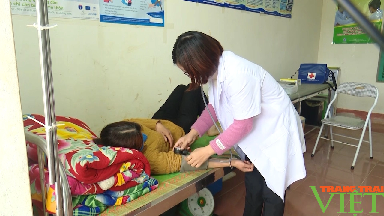 Câu chuyện giảm nghèo ở vùng cao Bắc Yên - Ảnh 6. Câu chuyện giảm nghèo ở vùng cao Bắc Yên - Ảnh 6.