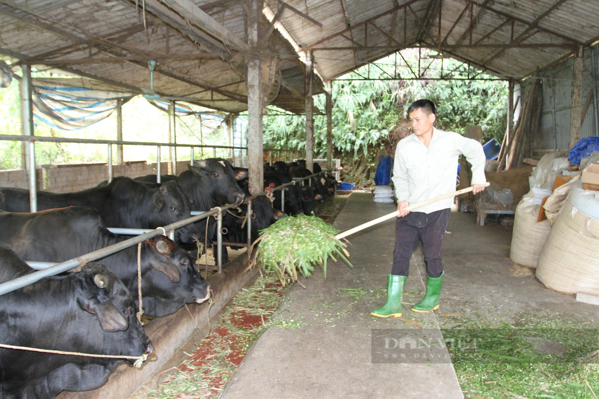 Yên Bái: Bước chuyển mình trong xây dựng nông thôn mới ở một xã có 60% đồng bào dân tộc  - Ảnh 2.