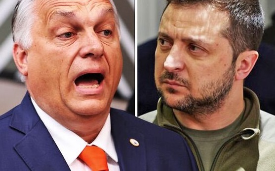 Lãnh đạo nước NATO này ra tuyên bố cực phũ phàng với Ukraine - Ảnh 1.