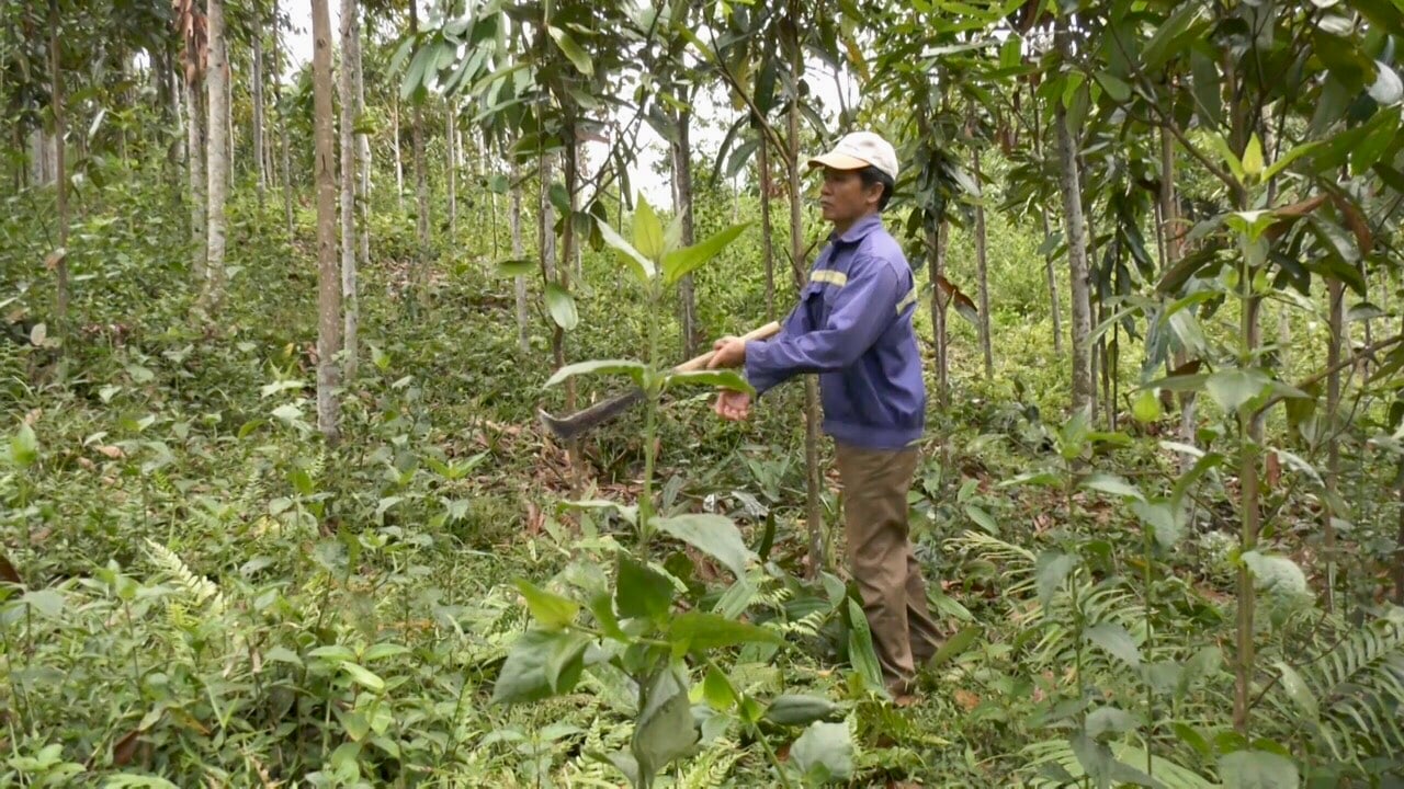 Yên Bái: Bước chuyển mình trong xây dựng nông thôn mới ở một xã có 60% đồng bào dân tộc  - Ảnh 1.