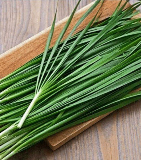 Loại rau đắt đỏ được thế giới yêu thích, ở Việt Nam có thể đem cho không biếu không - Ảnh 1. Loại rau đắt đỏ được thế giới yêu thích, ở Việt Nam có thể đem cho không biếu không - Ảnh 1.