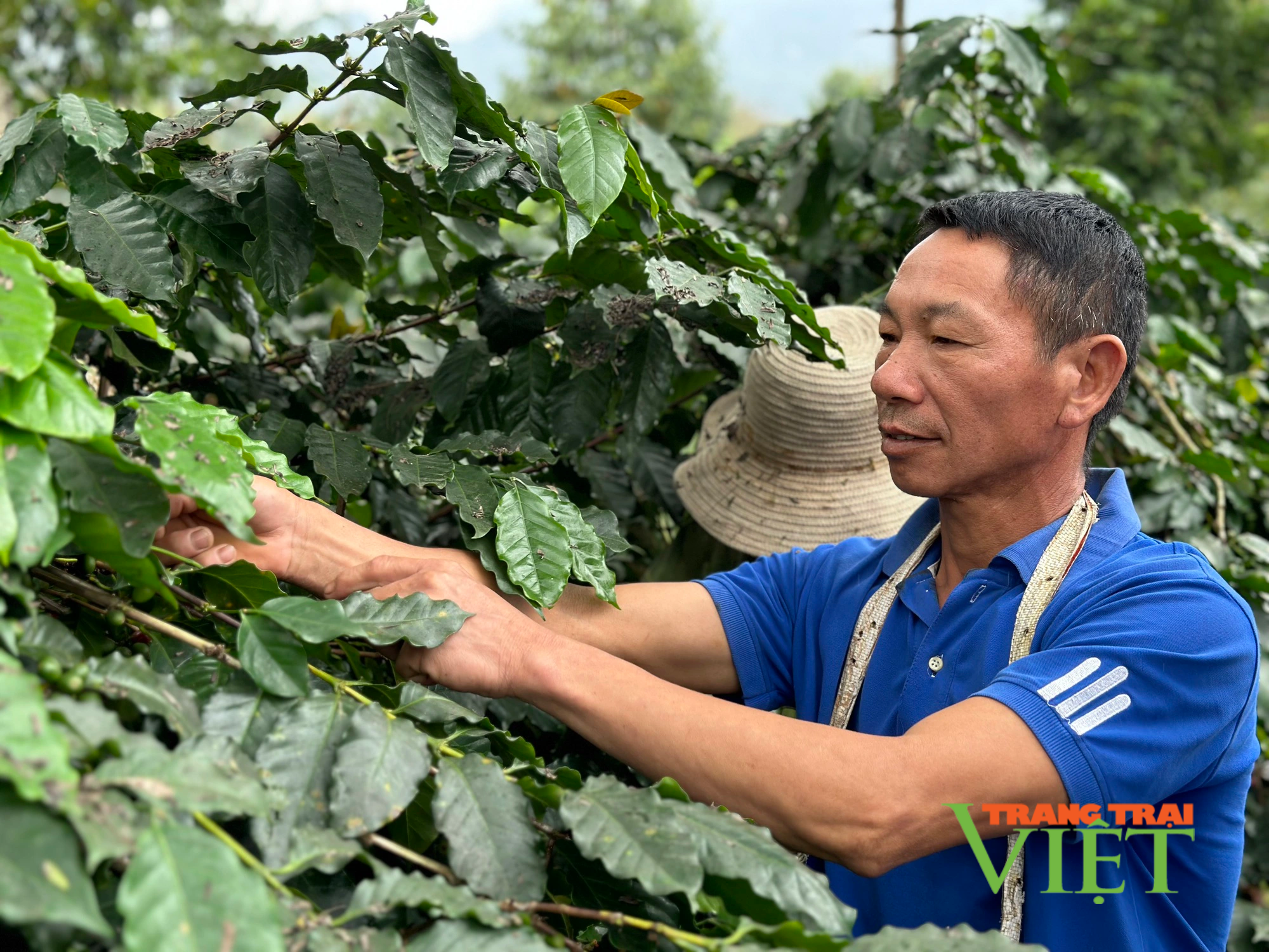 Mường Ảng: Chính quyền và nhân dân đồng hành cùng người nghèo, để họ có nghị lực vươn lên - Ảnh 1. Mường Ảng: Chính quyền và nhân dân đồng hành cùng người nghèo, để họ có nghị lực vươn lên - Ảnh 1.