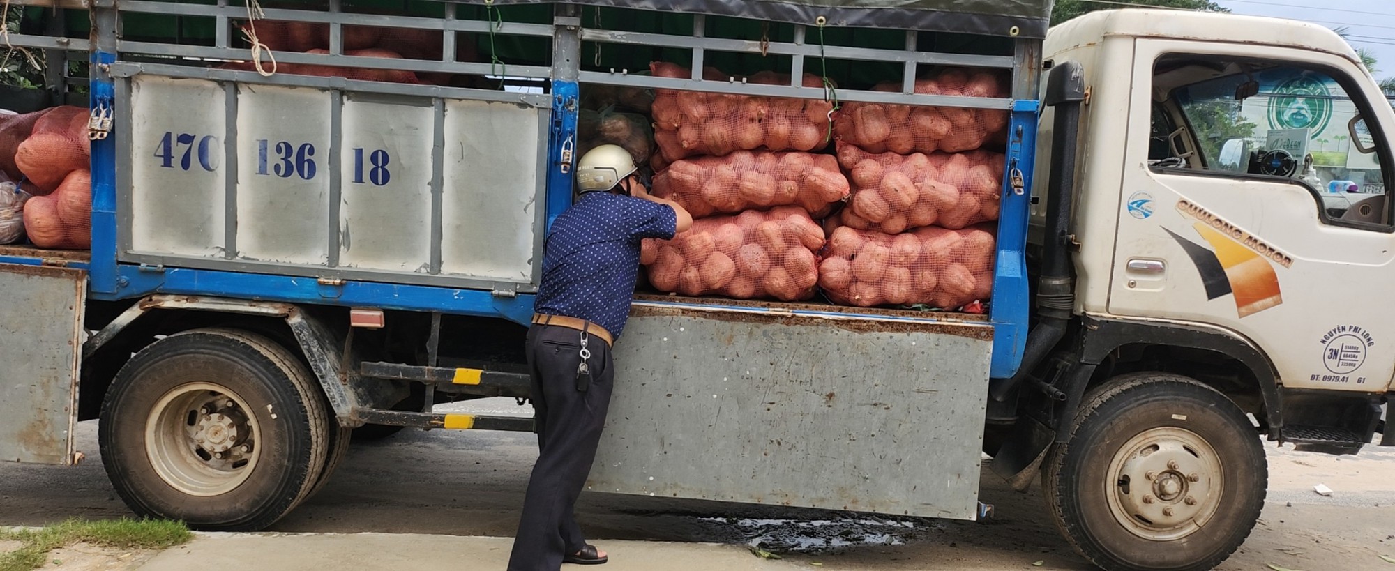 Nhiều đơn vị, cá nhân hỗ trợ tiêu thụ bí đỏ ở Khánh Hòa - Ảnh 2.