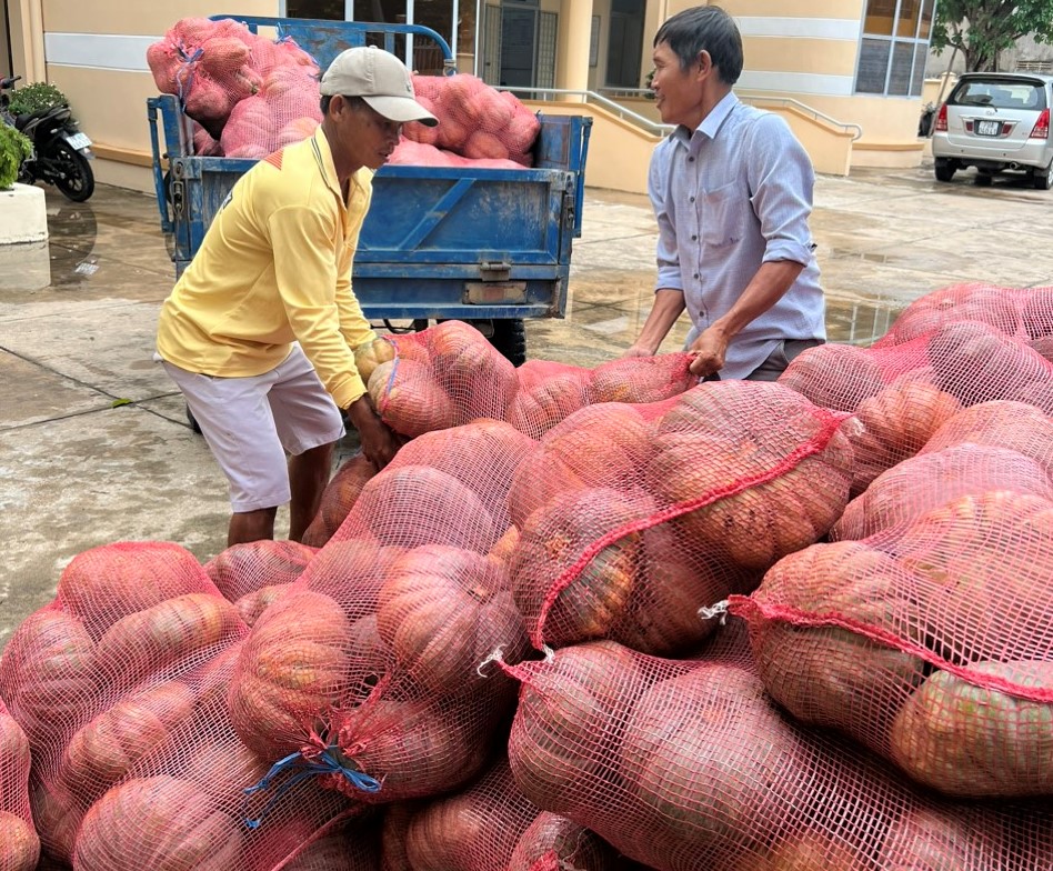 Nhiều đơn vị, cá nhân hỗ trợ tiêu thụ bí đỏ ở Khánh Hòa - Ảnh 1.