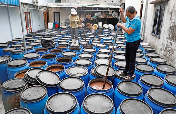 Nghệ An: Tín dụng chính sách Ngân hàng CSXH giúp người dân Quỳnh Lưu làm giàu chính đáng - Ảnh 1.
