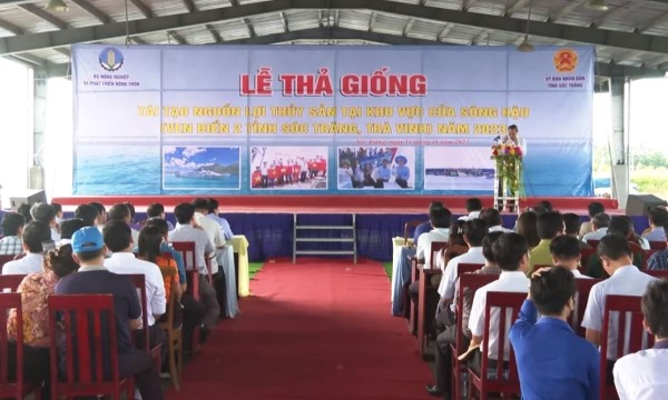Bộ NNPTNT thả 1,5 triệu con giống tái tạo nguồn thủy sản sông Hậu - Ảnh 1. Bộ NNPTNT thả 1,5 triệu con giống tái tạo nguồn thủy sản sông Hậu - Ảnh 1.