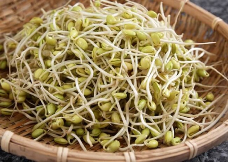 Loại rau mầm rẻ như cho, được ví như "phương thuốc tự nhiên" - Ảnh 1. Loại rau mầm rẻ như cho, được ví như "phương thuốc tự nhiên" - Ảnh 1.