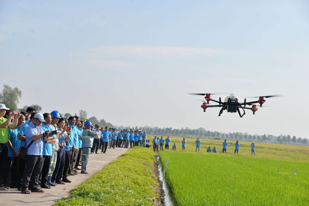 Hội Nông dân An Giang làm cầu nối giúp nông dân, HTX liên kết với doanh nghiệp xây dựng cánh đồng lớn. - Ảnh 4.