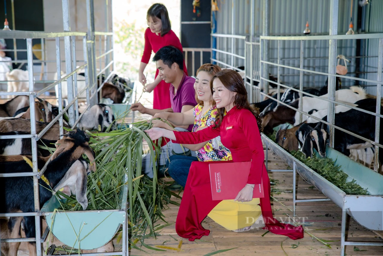 Quảng Nam: Lòng dân đồng thuận xây dựng nông thôn mới, huyện Núi Thành hái “quả ngọt”  - Ảnh 5.