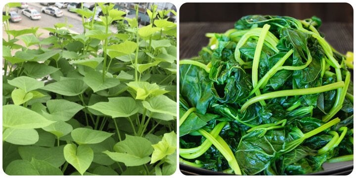 Loại rau dân dã bán đầy chợ Việt tốt như 'thần dược', chứa cả chất ngừa ung thư - Ảnh 1. Loại rau dân dã bán đầy chợ Việt tốt như 'thần dược', chứa cả chất ngừa ung thư - Ảnh 1.