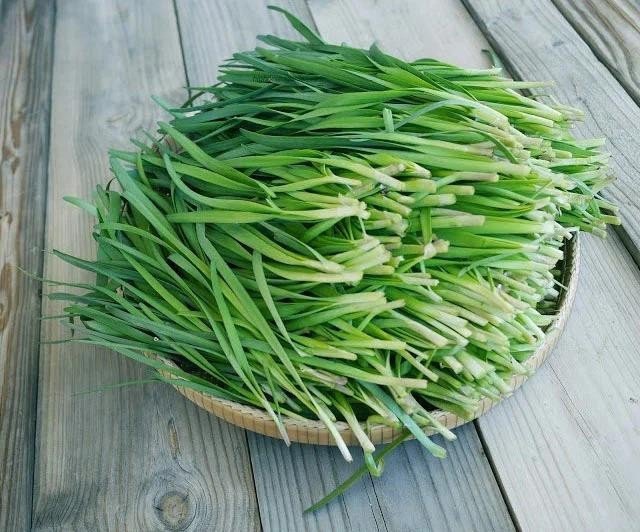 Những loại rau dưới đây chứa nhiều vitamin, khoáng chất, chớ dại bỏ qua - Ảnh 2. Những loại rau dưới đây chứa nhiều vitamin, khoáng chất, chớ dại bỏ qua - Ảnh 2.