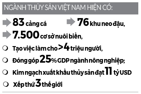 Chưa có quy hoạch không gian biển: Người nuôi tiến thoái lưỡng nan - Ảnh 4.