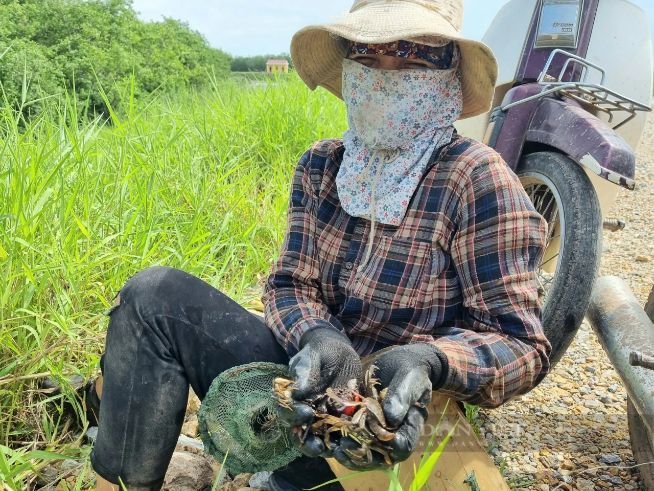Đi tìm chữ “xanh” trong nông nghiệp: Trồng rừng hấp thụ carbon, thêm màu xanh, vừa thêm tiền tại Ninh Bình - Ảnh 10.