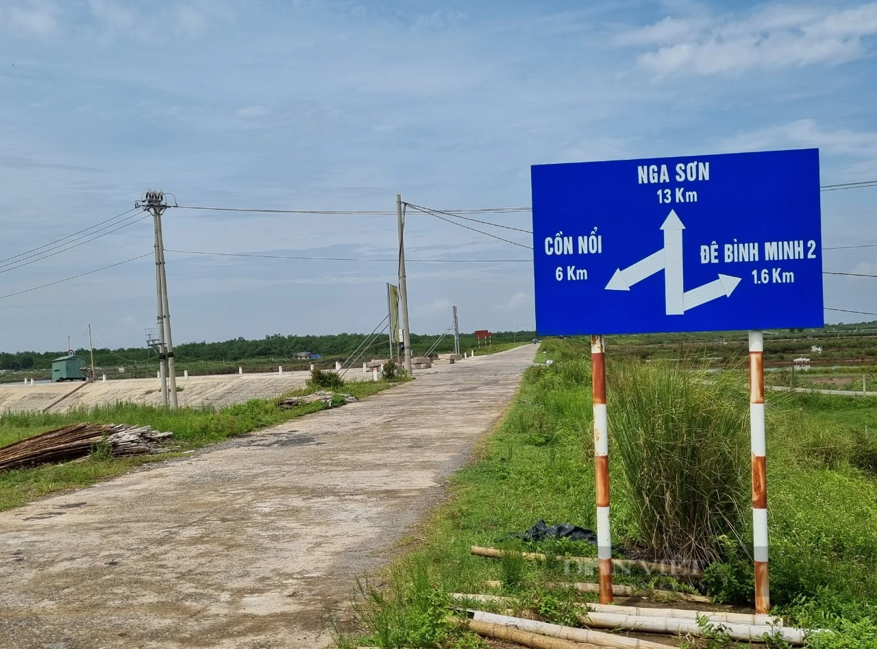 Đi tìm chữ “xanh” trong nông nghiệp: Trồng rừng hấp thụ carbon, thêm màu xanh, vừa thêm tiền tại Ninh Bình - Ảnh 15.