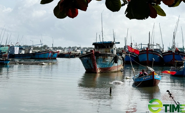 Quảng Ngãi chi nhiều trăm triệu “xoá sổ” nghĩa địa xác tàu đắm ở cảng Sa Huỳnh - Ảnh 11.