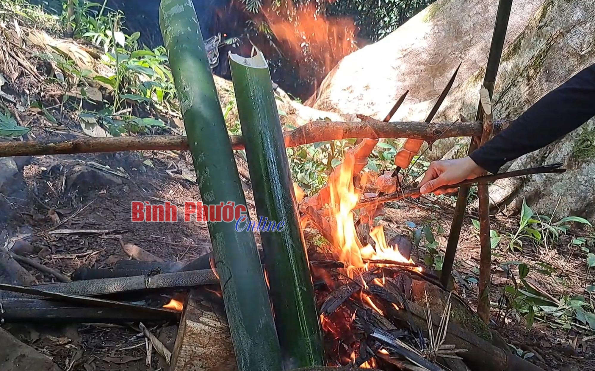 Độc, lạ một món canh sền sệt ở vùng núi Bình Phước, thịt heo rừng hòa quyện với rau rừng, quả rừng thơm phức - Ảnh 2.