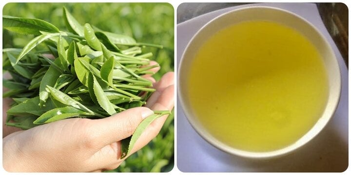 6 công dụng của nước chè xanh, nhiều người uống suốt mà không biết - Ảnh 1. 6 công dụng của nước chè xanh, nhiều người uống suốt mà không biết - Ảnh 1.