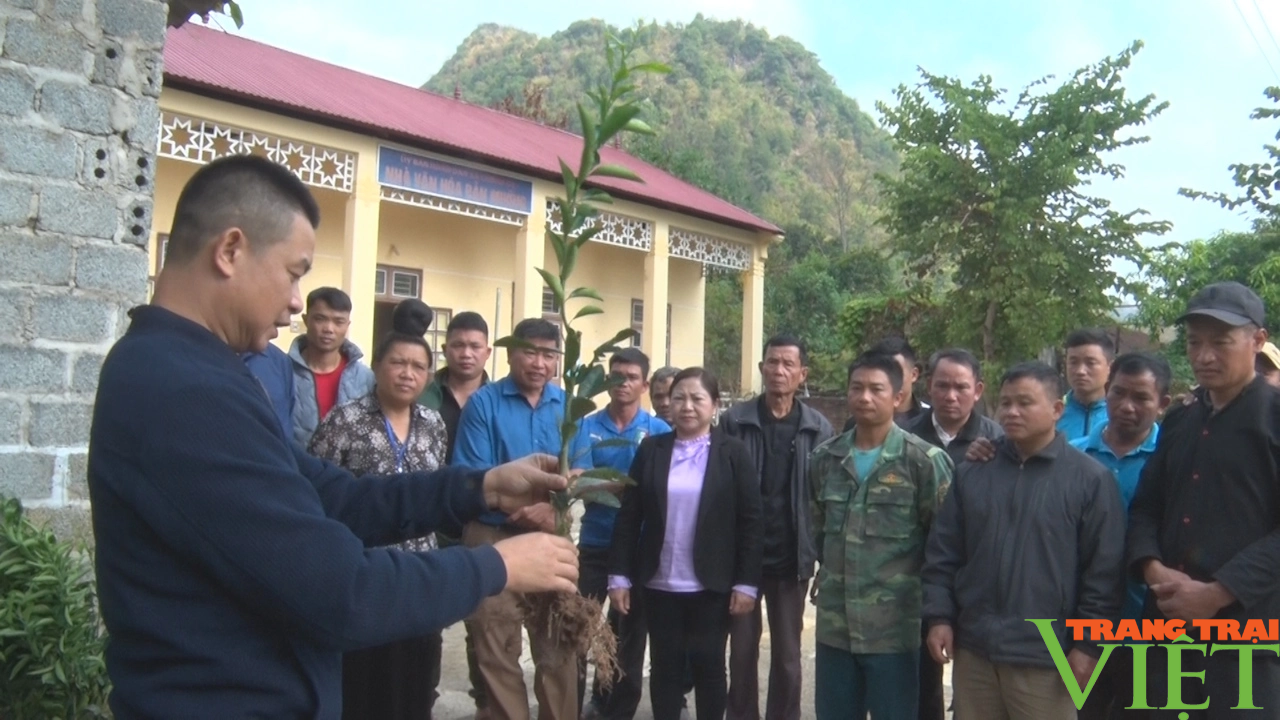 Bàn giao vật tư nông nghiệp cho hội viên nông dân phát triển kinh tế - Ảnh 2. Bàn giao vật tư nông nghiệp cho hội viên nông dân phát triển kinh tế - Ảnh 2.