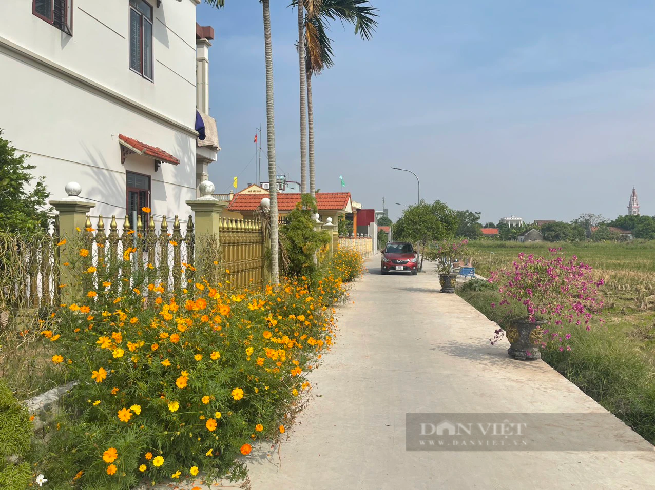 Con đường hoa “vạn người mê” ở tổ dân phố kiểu mẫu thị trấn Ninh Cường (Nam Định) - Ảnh 2.