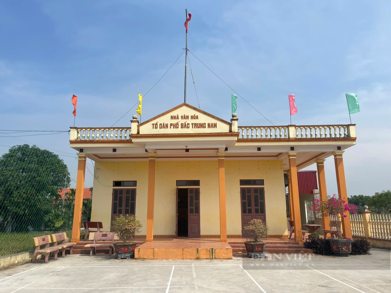 Con đường hoa “vạn người mê” ở tổ dân phố kiểu mẫu thị trấn Ninh Cường (Nam Định) - Ảnh 5.