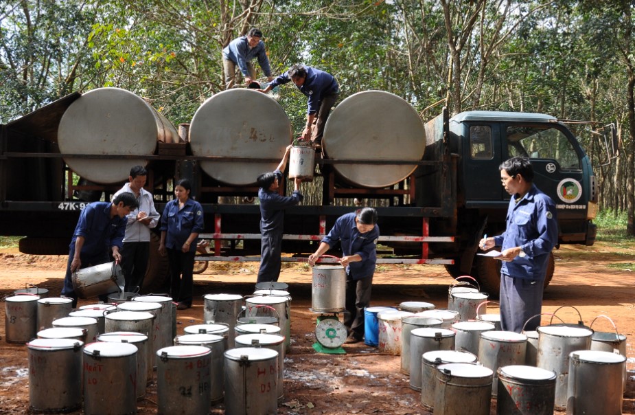 Vì sao kết quả kinh doanh của Tập đoàn Công nghiệp Cao su Việt Nam liên tục lao dốc, giảm lợi nhuận?- Ảnh 1.