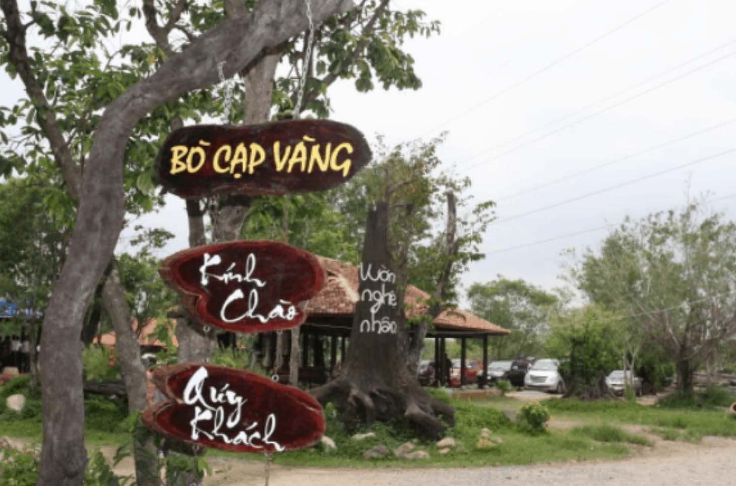 Độc đáo với trải nghiệm nghe chim hót, ngắm rừng già và thưởng thức trái cây thơm ngọt tự nhiên  - Ảnh 13.