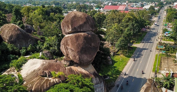 Độc đáo với trải nghiệm nghe chim hót, ngắm rừng già và thưởng thức trái cây thơm ngọt tự nhiên  - Ảnh 10.