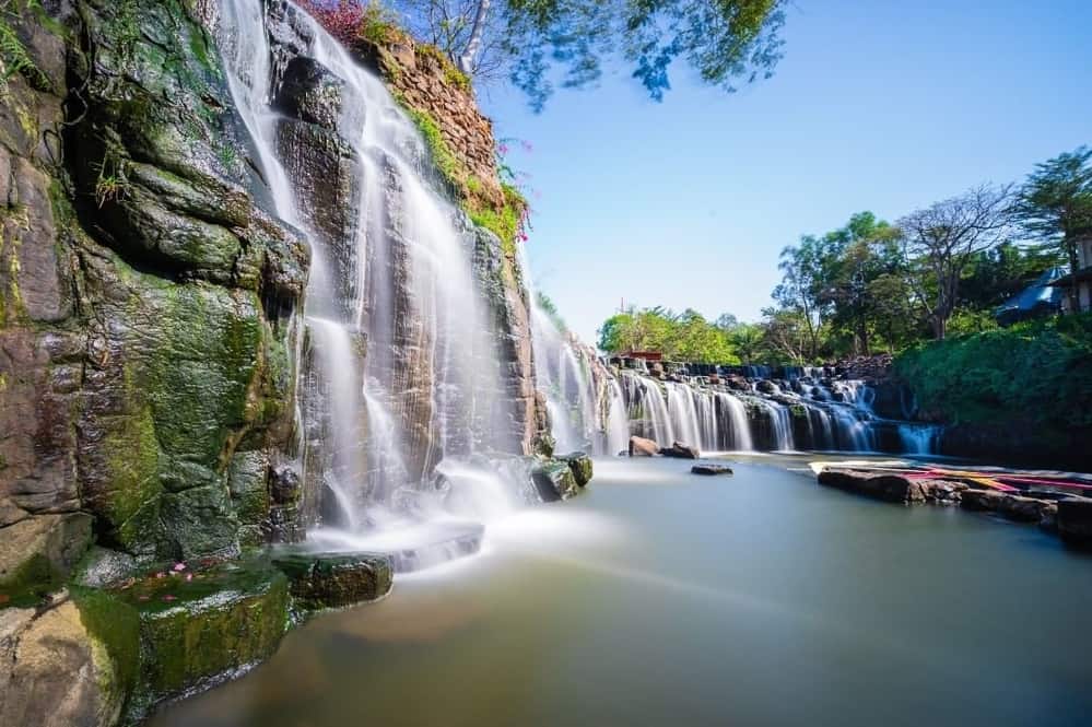 Độc đáo với trải nghiệm nghe chim hót, ngắm rừng già và thưởng thức trái cây thơm ngọt tự nhiên  - Ảnh 8.