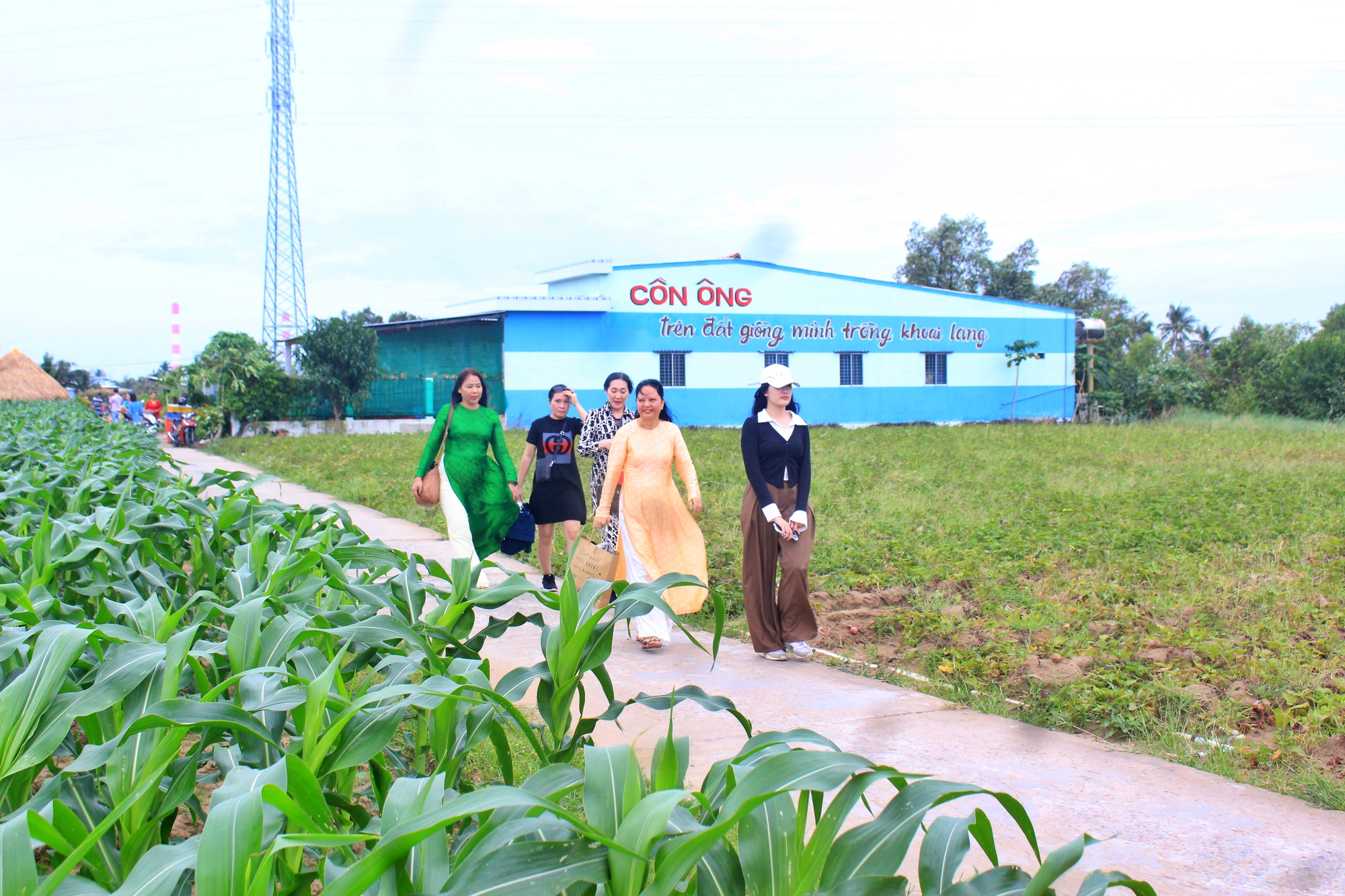 Độc lạ du lịch &quot;nương theo lời ca&quot; ở Trà Vinh - Ảnh 1.