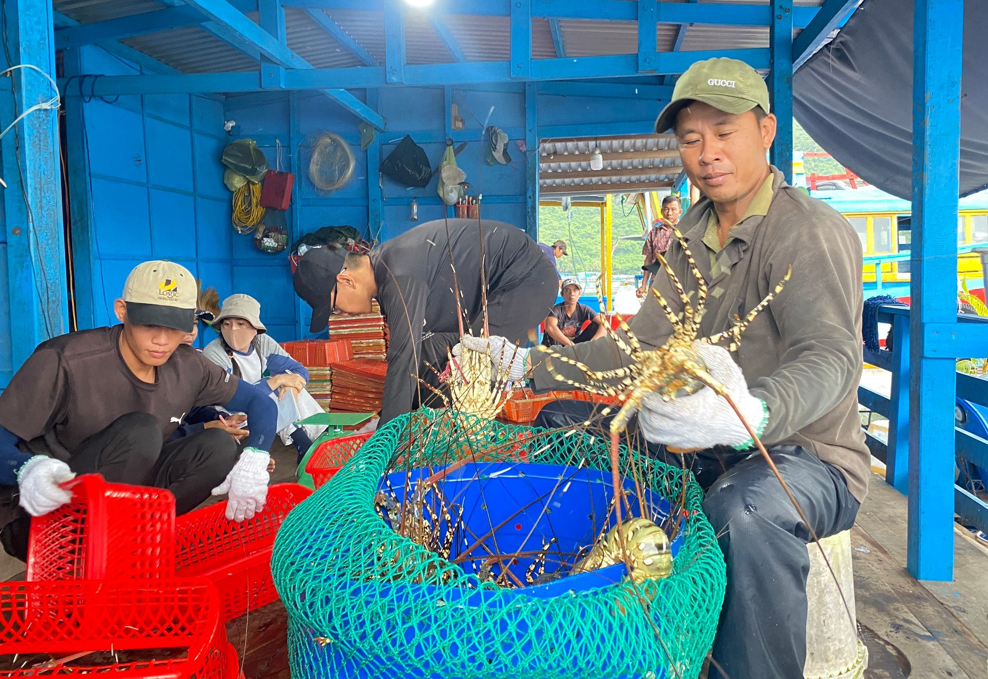 36 năm nuôi tôm hùm chưa bao giờ thấy khó như hiện nay, một nông dân Khánh Hòa kiến nghị khẩn  - Ảnh 2.