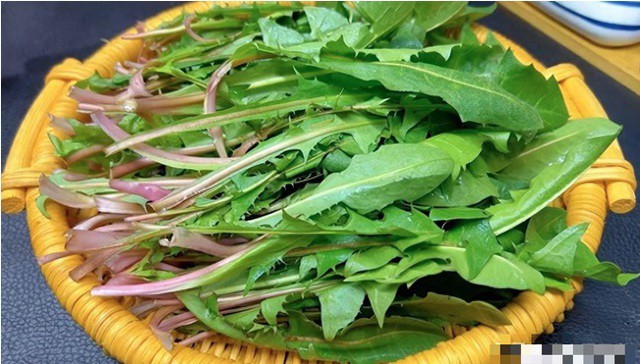 Loại cây là 'vua thải độc', tốt cho người mắc bệnh xương khớp, mọc hoang đầy mà nhiều người không biết ăn - Ảnh 1. Loại cây là 'vua thải độc', tốt cho người mắc bệnh xương khớp, mọc hoang đầy mà nhiều người không biết ăn - Ảnh 1.