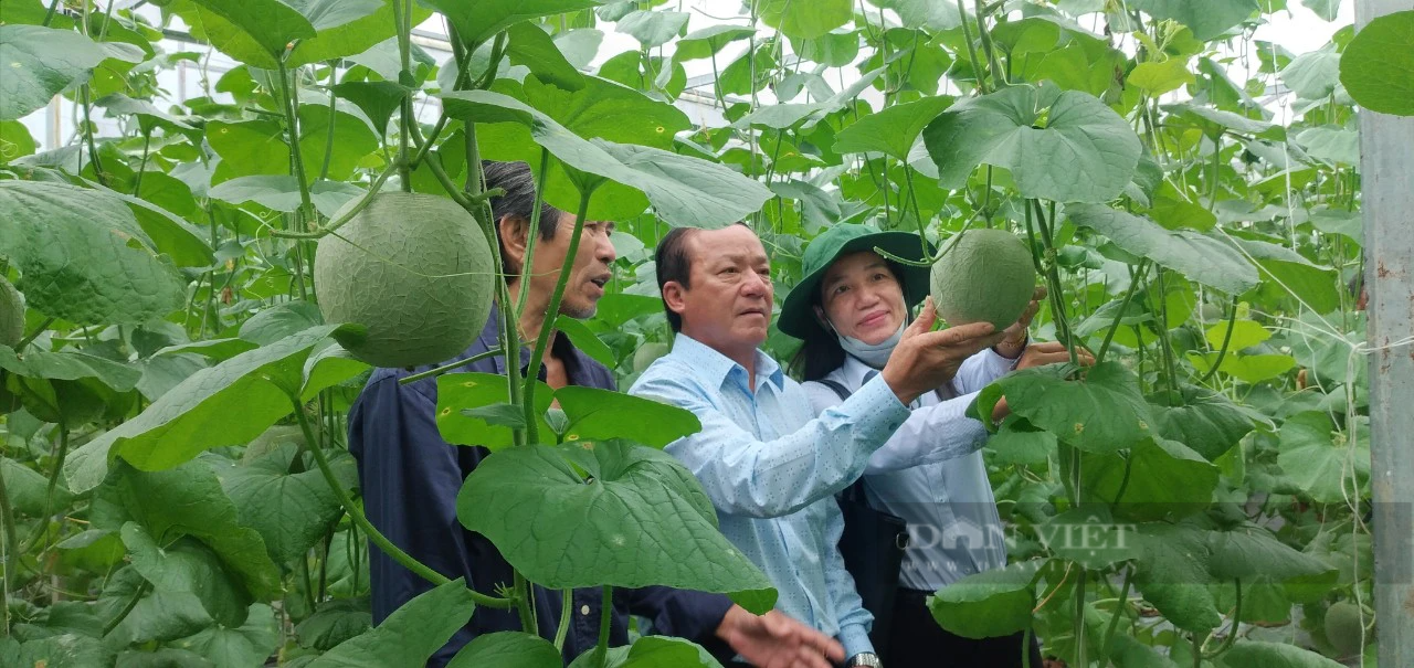 Nông dân huyện Phụng Hiệp thoát nghèo, làm giàu nhờ Quỹ Hỗ trợ nông dân - Ảnh 1.