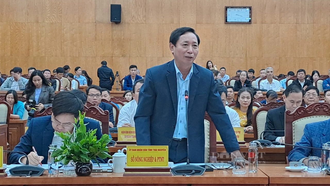 Chủ tịch tỉnh Thái Nguyên đối thoại với nông dân: Nhiều tâm tư, nguyện vọng của nông dân được tháo gỡ - Ảnh 6.