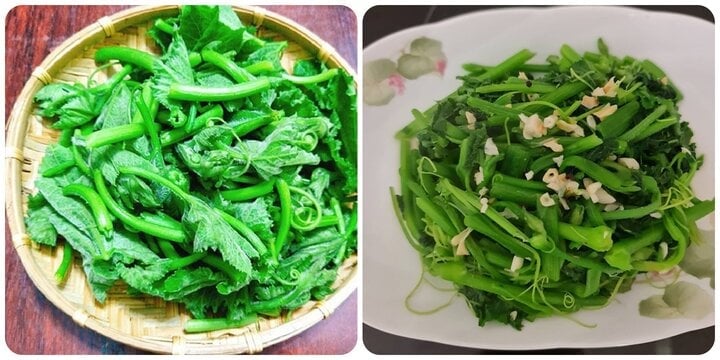 Rau dân dã này bán đầy chợ Việt, còn ví như là 'thần dược' kéo dài tuổi thọ, giá rẻ bèo - Ảnh 1. Rau dân dã này bán đầy chợ Việt, còn ví như là 'thần dược' kéo dài tuổi thọ, giá rẻ bèo - Ảnh 1.