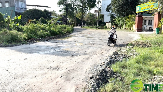 Dự án “rùa”, quản lý và khai thác khoáng sản sẽ làm nóng Nghị trường cuối năm của Quảng Ngãi  - Ảnh 1.