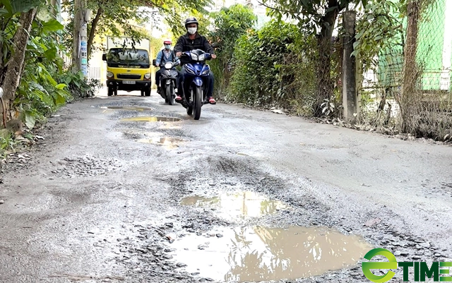 Dự án “rùa”, quản lý và khai thác khoáng sản sẽ làm nóng Nghị trường cuối năm của Quảng Ngãi  - Ảnh 3.