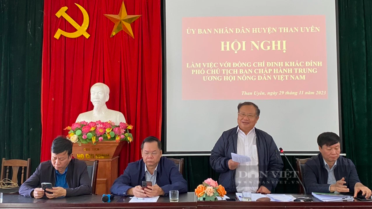 Phó Chủ tịch Hội NDVN Đinh Khắc Đính và đoàn công tác tìm hiểu vùng trồng mít ở Lai Châu- Ảnh 2.