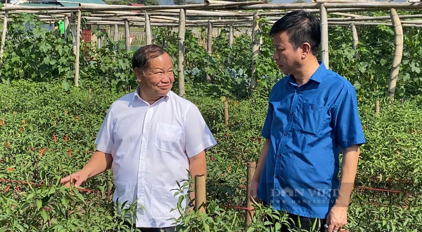 Phó Chủ tịch Hội NDVN Đinh Khắc Đính và đoàn công tác tìm hiểu vùng trồng mít ở Lai Châu- Ảnh 5.